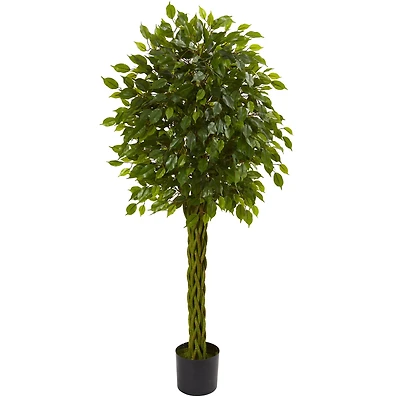 5ft. Potted Woven Trunk Ficus Tree