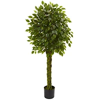5ft. Potted Woven Trunk Ficus Tree