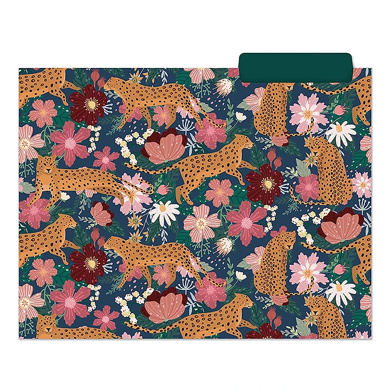 TF Publishing Boho Designer File Folder Set