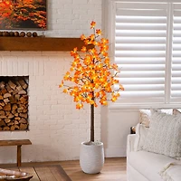 6ft. Pre-Lit Minimalist Autumn Maple Artificial Fall Tree with 120 Warm White LED Lights
