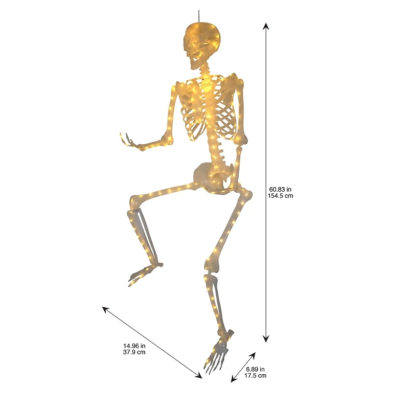 5ft. Warm White LED Skeleton by Ashland®