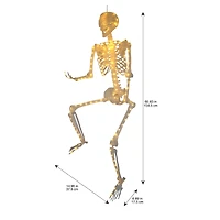 5ft. Warm White LED Skeleton by Ashland®