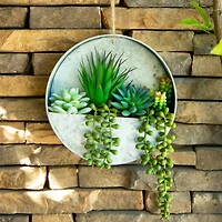 Flora Bunda® 8" Succulent in Hanging Wall Planter
