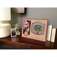 College Football 3D StadiumViews Picture Frame