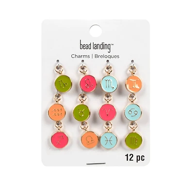 Zodiac Enamel Charm Set by Bead Landing™