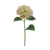 Green & Pink Hydrangea Spray