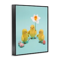 Stupell Industries Spring Chicks Floral Easter Eggs Framed Giclee Art