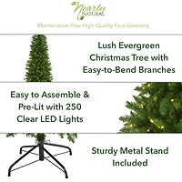 6ft. Pre-Lit Green Mountain Pine Artificial Christmas Tree, Clear LED Lights