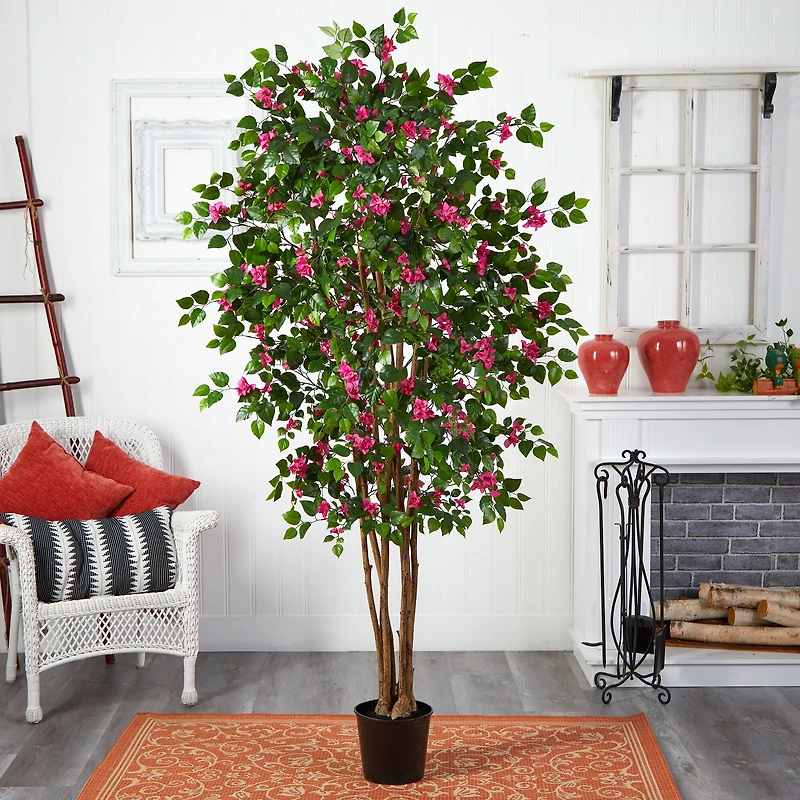 6ft. Potted Bougainvillea Tree