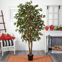 6ft. Potted Bougainvillea Tree