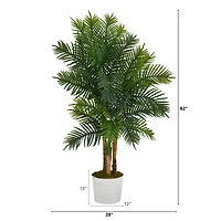5ft. Areca Palm Tree in White Tin Planter