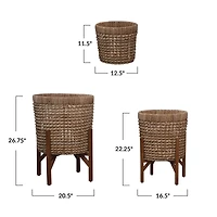 Hello Honey® Rattan Planters Set