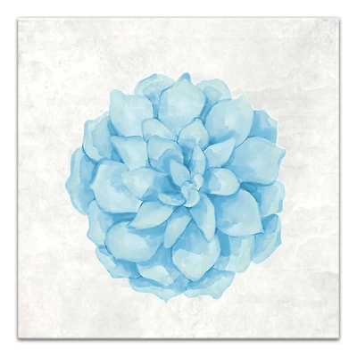 Soft Blue Succulent 16" x 16" Canvas Wall Art