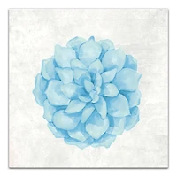Soft Blue Succulent 16" x 16" Canvas Wall Art