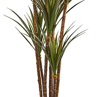6ft. Yucca Tree in Decorative Planter