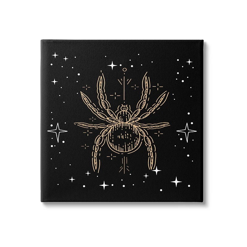 Stupell Industries Starry Halloween Spider Insect Canvas Wall Art