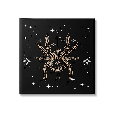 Stupell Industries Starry Halloween Spider Insect Canvas Wall Art