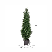 4ft. Potted Green Cedar Tree