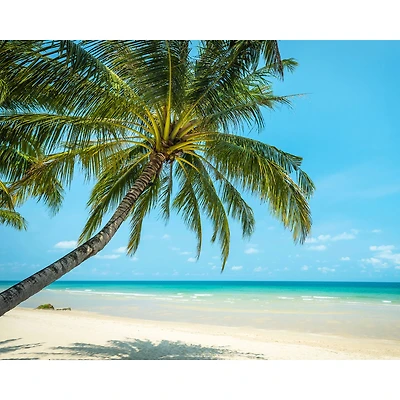 Wall Rogues Paradise Beach Wall Mural