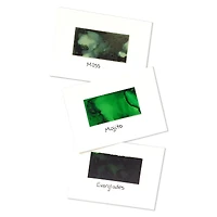Tim Holtz® Mint & Green Spectrum Alcohol Inks, 3ct.