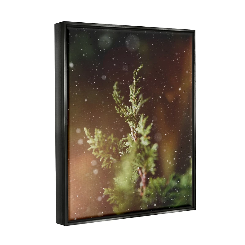 Stupell Industries Winter Snowfall Night Pine Tree Framed Floater Canvas Wall Art