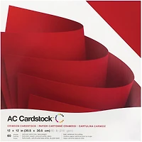 American Crafts™ 12" x 12" Textured Cardstock