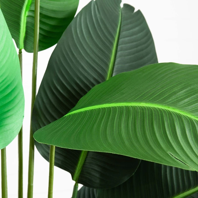 8ft. Potted Travelers Palm Tree