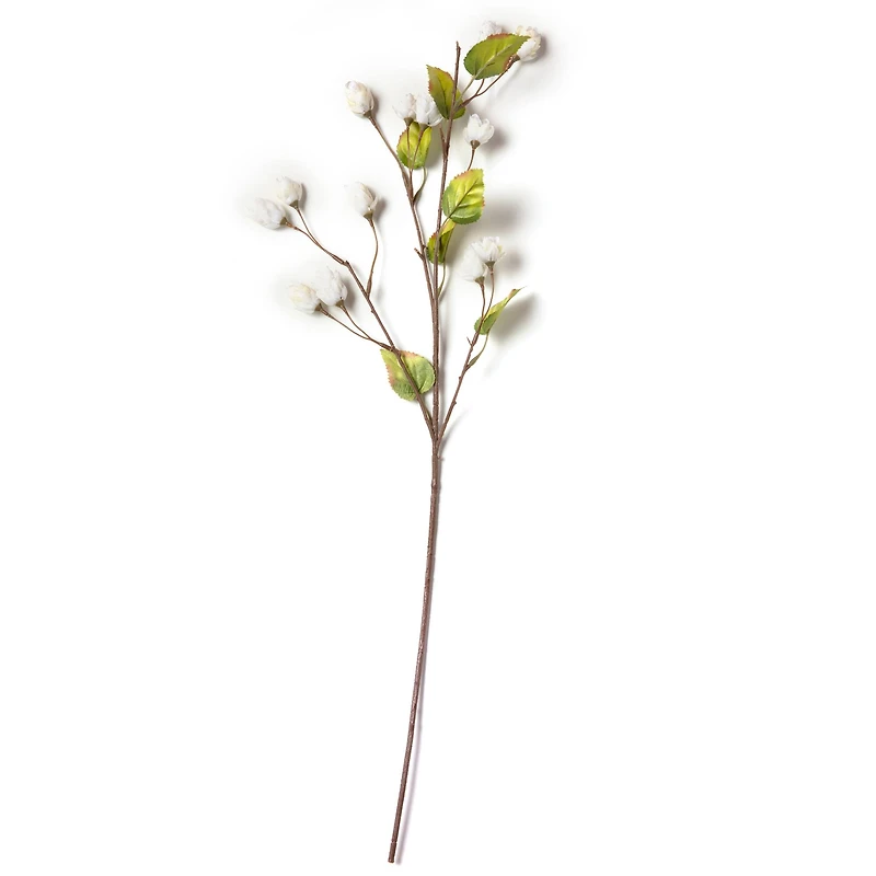 Cream Hops Spray by Ashland®