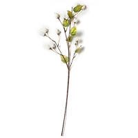 Cream Hops Spray by Ashland®