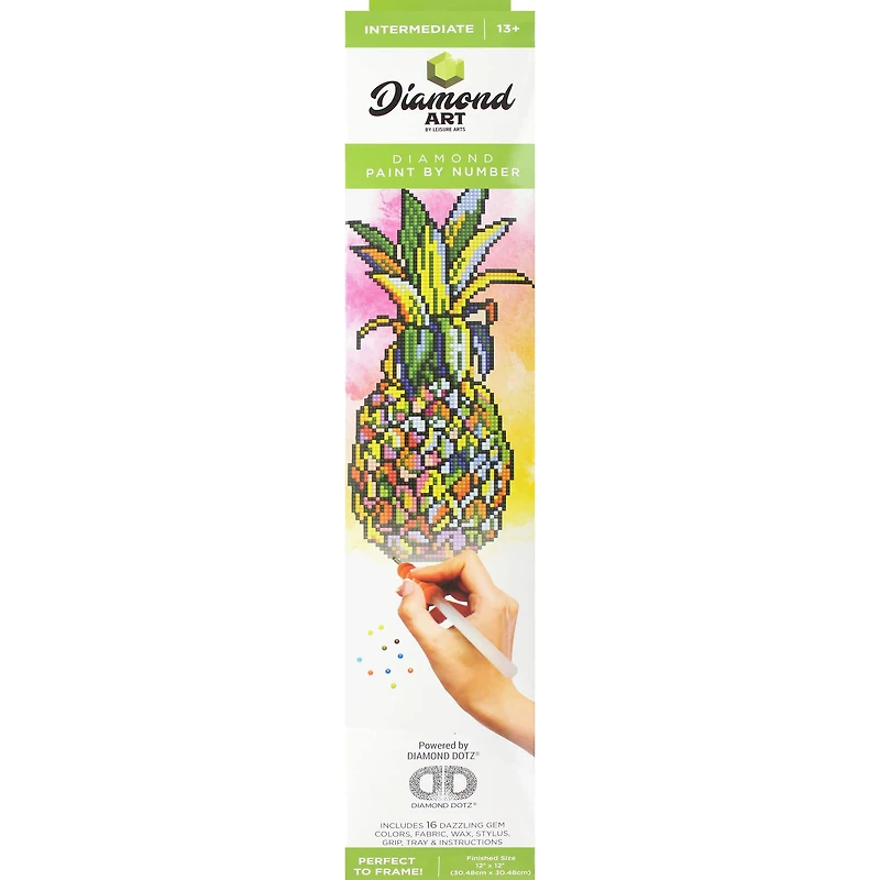 Diamond Art Intermediate Pineapple Kit