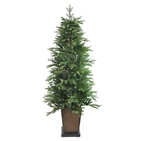 6ft. Pre-Lit Real Touch™️ Oregon Noble Fir Artificial Potted Christmas Tree, Warm Clear LED Lights