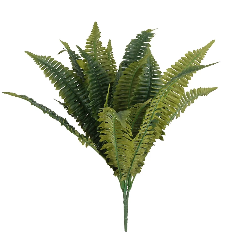 8 Pack: Boston Fern Bush by Ashland®