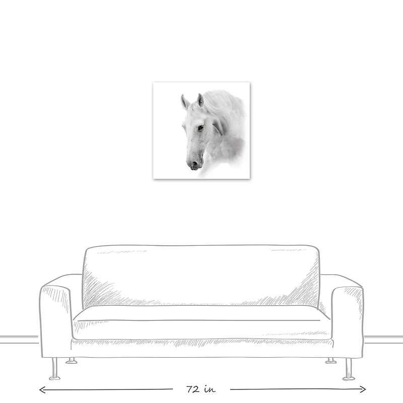 White Horse 24" x 24" Canvas Wall Art