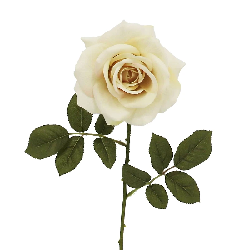 29" Cream Rose Stem by Ashland®