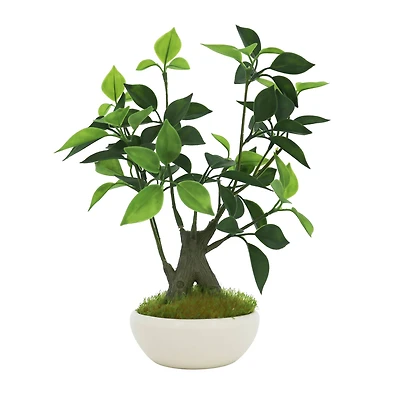 11.5" Premade Potted Bonsai Ficus by Ashland®