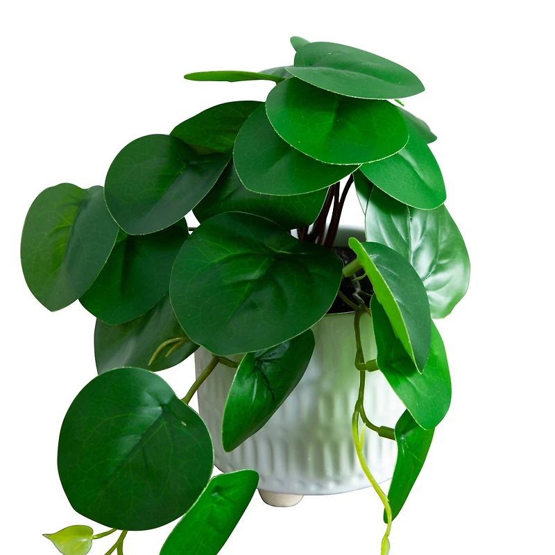 8" Mixed Greenery in Ceramic Planters Set