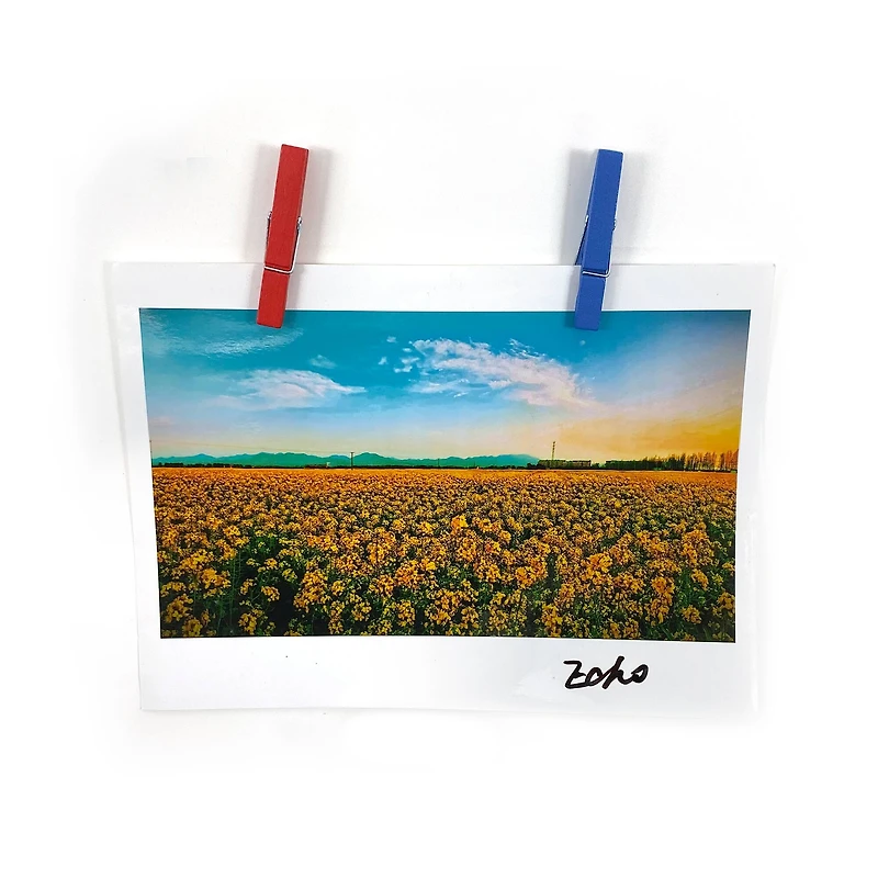 Medium Primary Clothespins by Recollections™