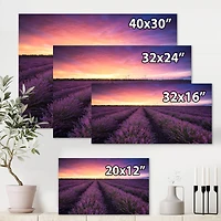 Designart - Sunrise & Dramatic Clouds Over Lavender Field XIII