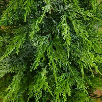 3ft. Pre-Lit Artificial Lightly Snowed Cypress Christmas Tree with 38 Warm White LED Lights in Decorative Weaved Basket