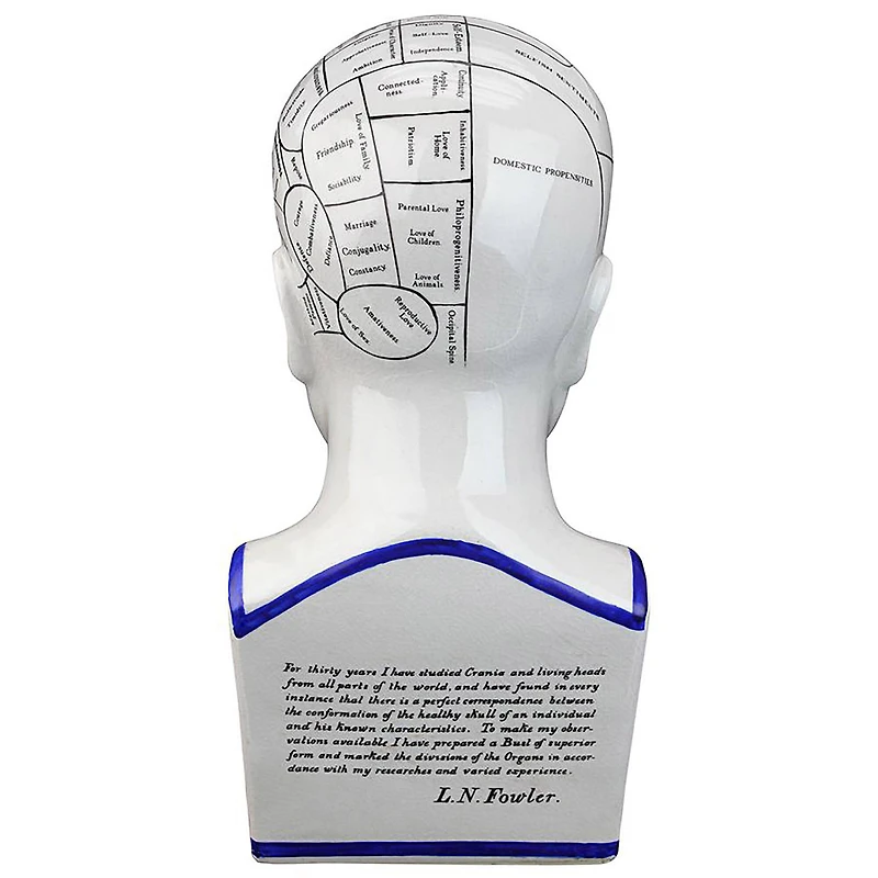Design Toscano Porcelain Phrenology Head Statue