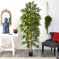 6ft. Potted Bamboo Tree