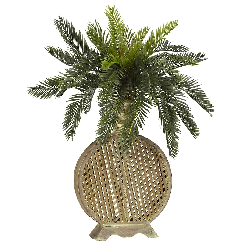 2ft. Cycas Plant with Decorative Vase