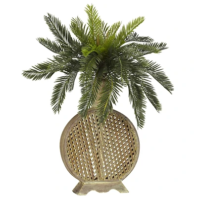 2ft. Cycas Plant with Decorative Vase