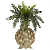 2ft. Cycas Plant with Decorative Vase