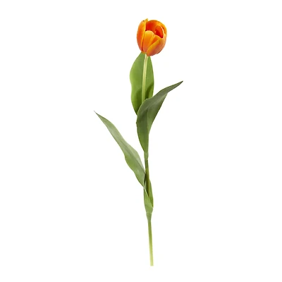 Orange Tulip Stem, 8ct.