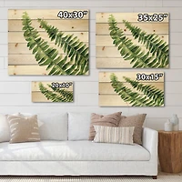 Designart - Fern Leaves Detail I