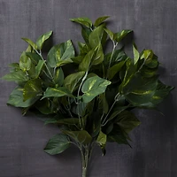 12 Pack: Pothos Bush by Ashland® Real Touch™