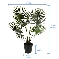24" Potted Green Fan Palm Plant by Ashland®