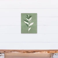 Painted Sage Leaves 11" x 14" Canvas Wall Art