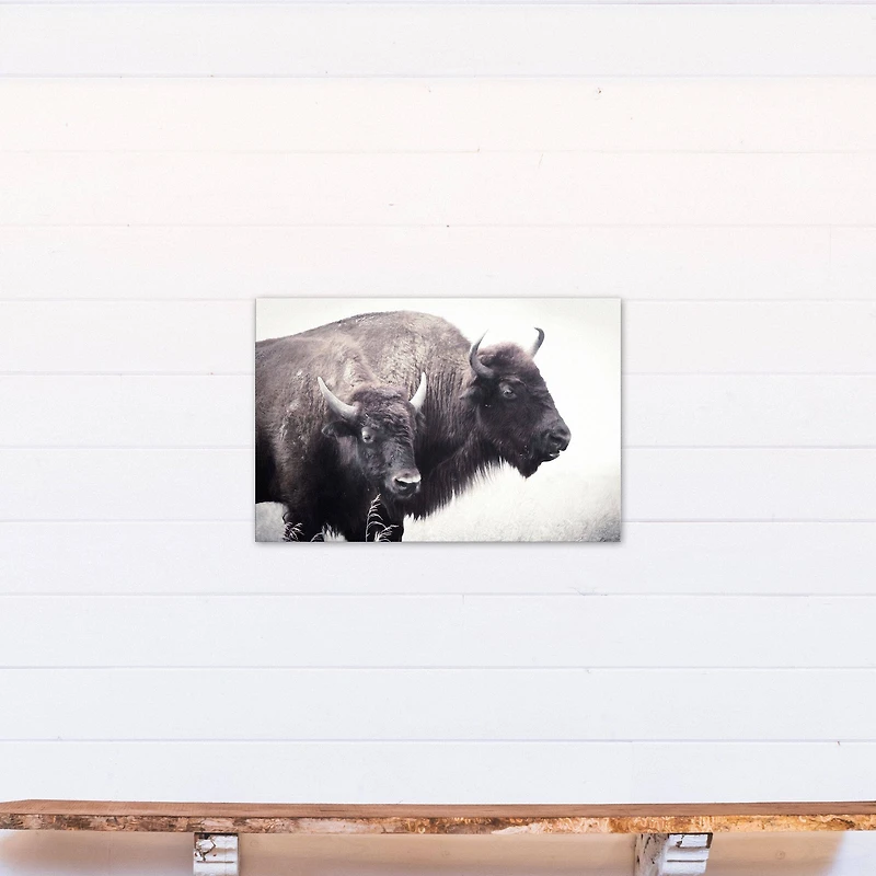 Two Bison 20" x 30" Canvas Wall Art